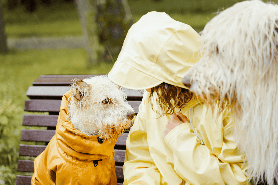 Cruelty-Free Beauty: wat het echt betekent en waarom het belangrijk Is - CALMTACT