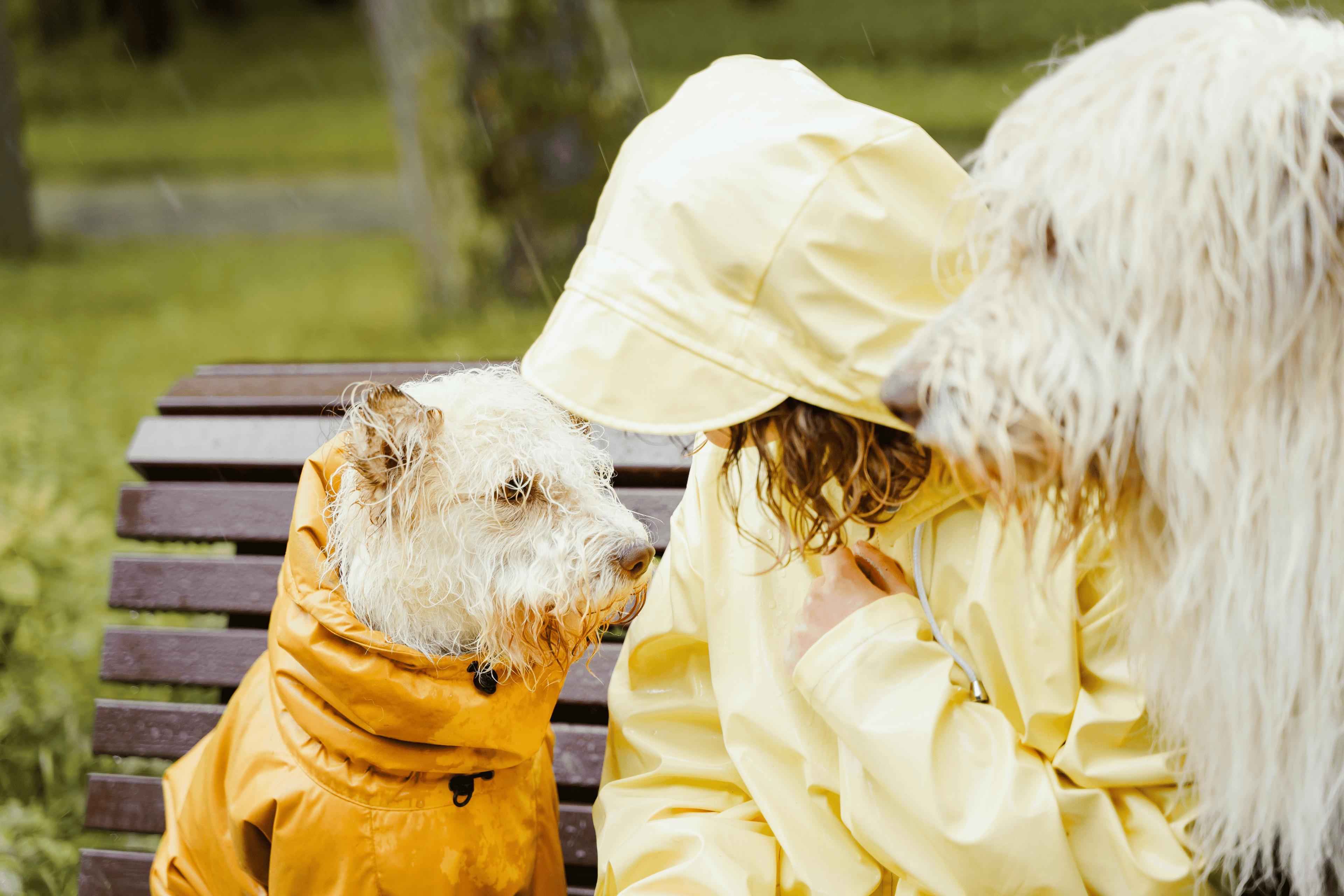Cruelty-Free Beauty: wat het echt betekent en waarom het belangrijk Is - CALMTACT